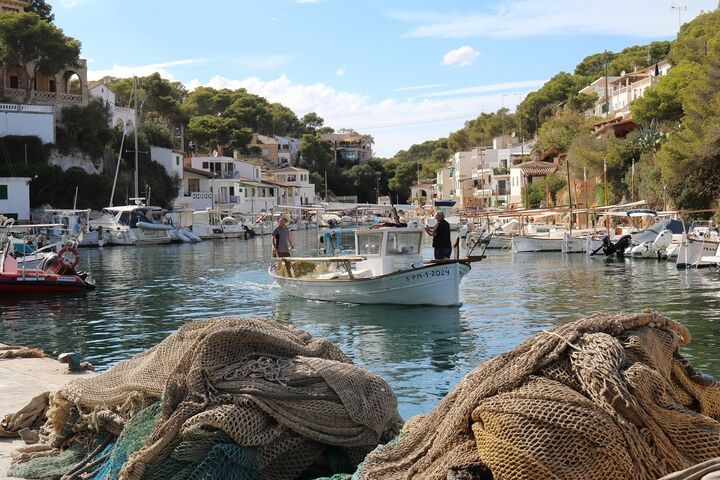 El Govern del PP en Balears elimina 1,4 millones de euros en ayudas para combatir la emergencia climática