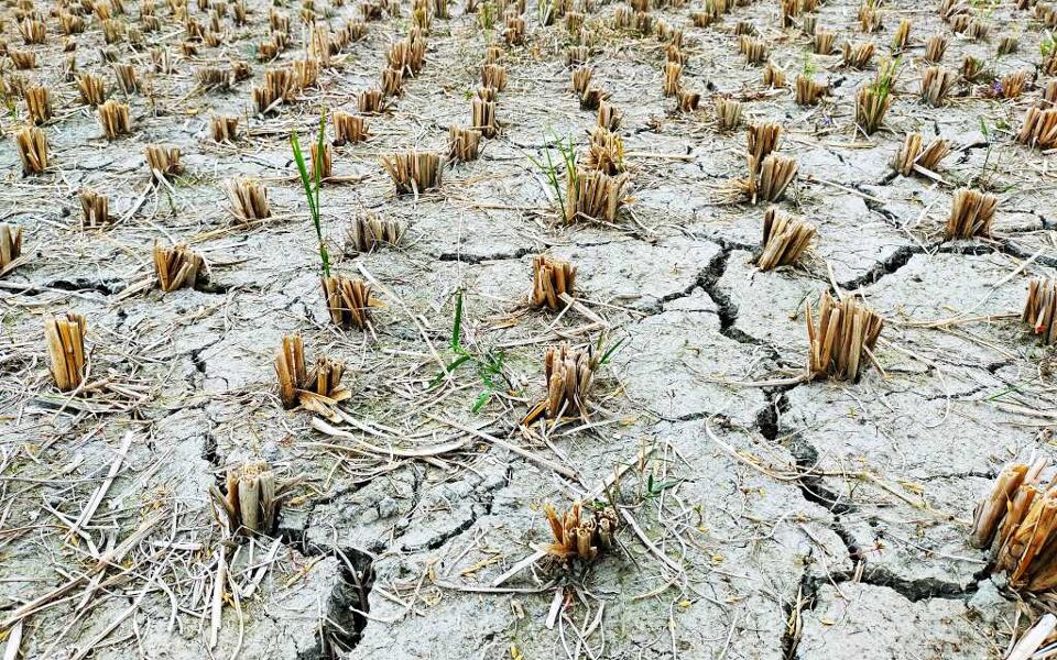 Ocho de cada diez españoles creen que es urgente tomar medidas frente al cambio climático