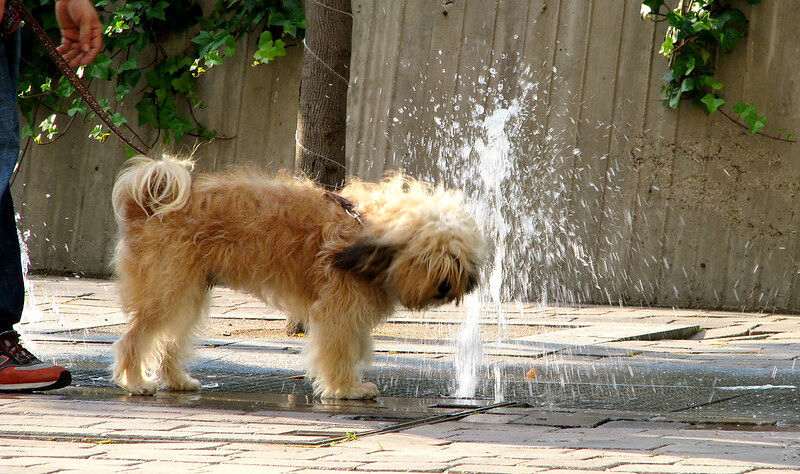 Suma y sigue: once meses seguidos con récord de calor a nivel global