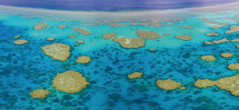 La Gran Barrera de Coral o el elefante en la habitación