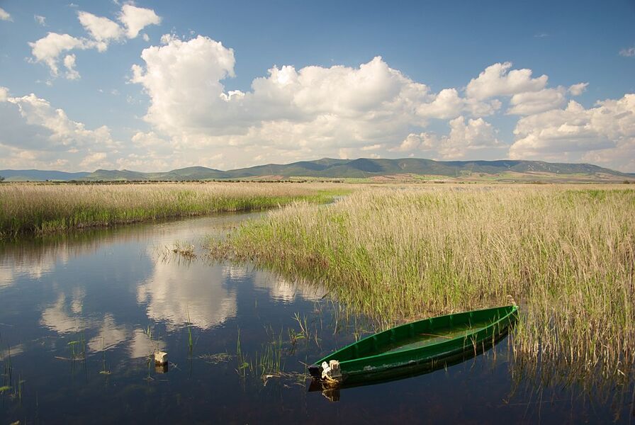 España y otros 10 países de la UE presionan para aprobar la Ley de Restauración de la Naturaleza