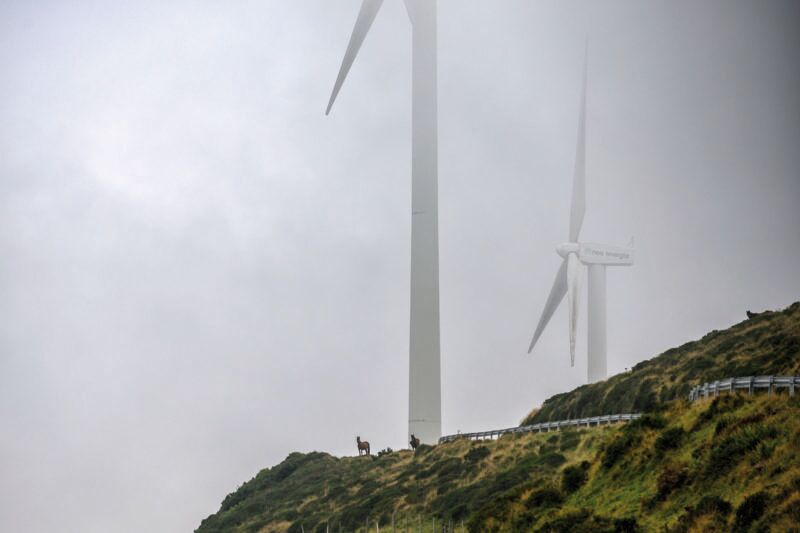 El laberinto de la transición ecológica