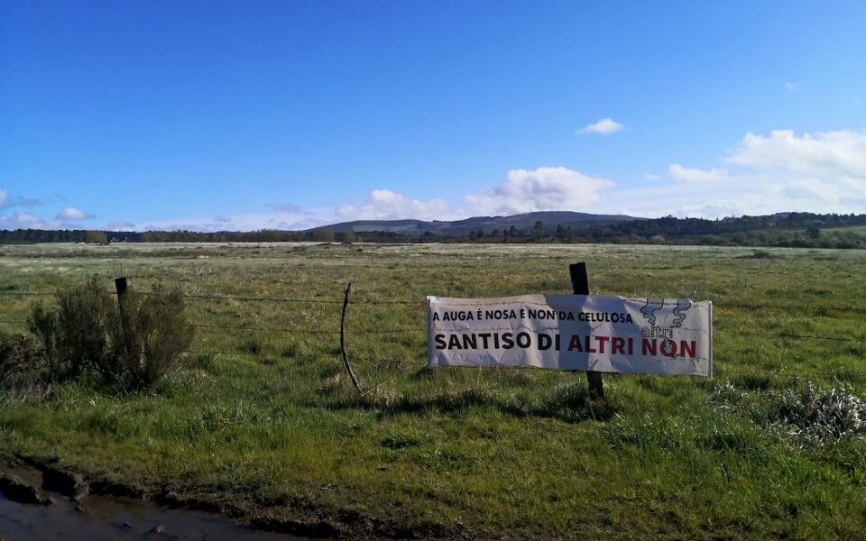 Proyecto Gama: quién es quién en la macrocelulosa que Altri y Greenalia quieren instalar en Galicia