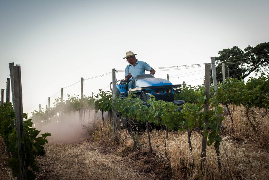 El modelo regenerativo o cómo adaptar el sistema agroalimentario