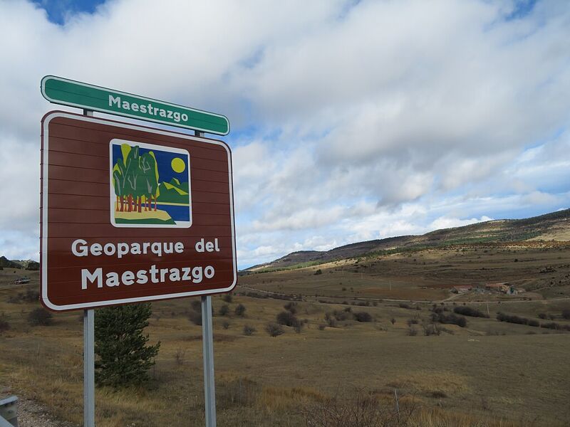 Lo que se sabe (y lo que no) sobre la tala de árboles para el proyecto de energía eólica Clúster Maestrazgo
