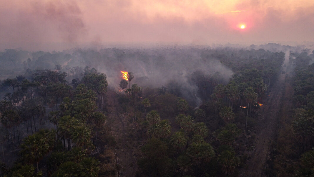 La Amazonia y el Pantanal registran sus peores incendios forestales en dos décadas