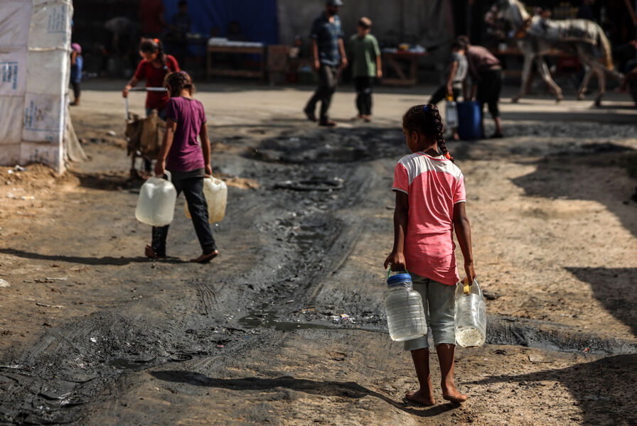 El ecocidio dentro del genocidio