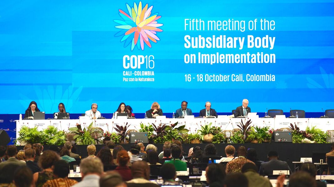 Un 85% de países incumple el plazo para presentar sus planes de acción al comienzo de la COP16