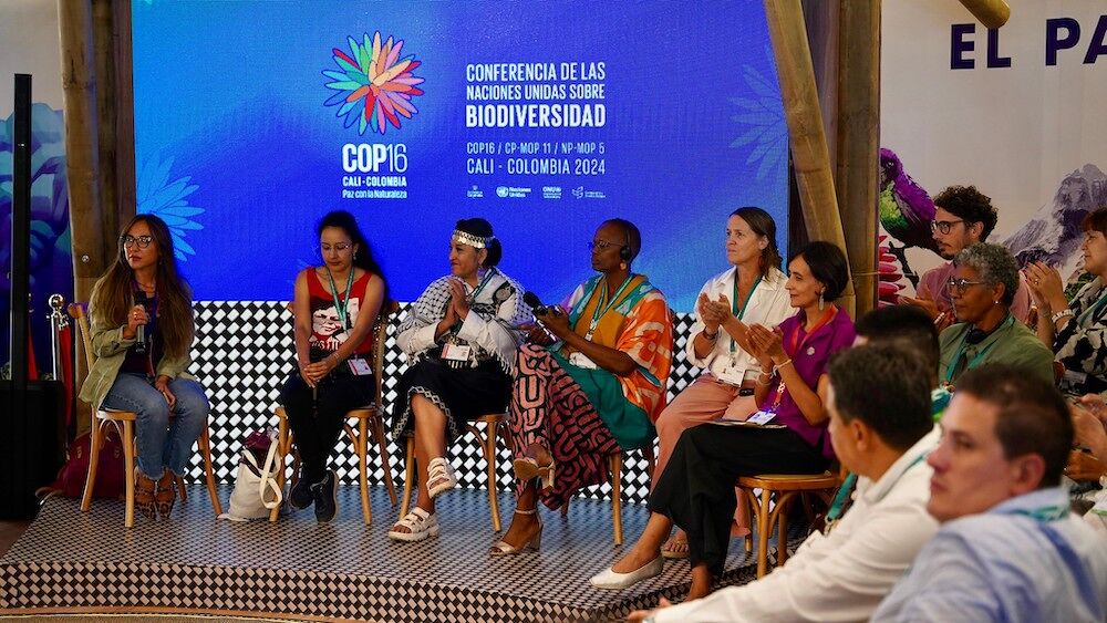 Reclaman la protección de las defensoras ambientales en la COP16
