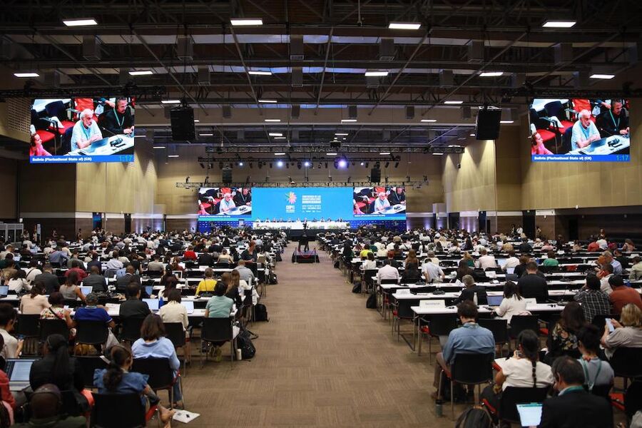 La negociadora principal de Colombia en la COP16, sobre las negociaciones: «Somos optimistas»