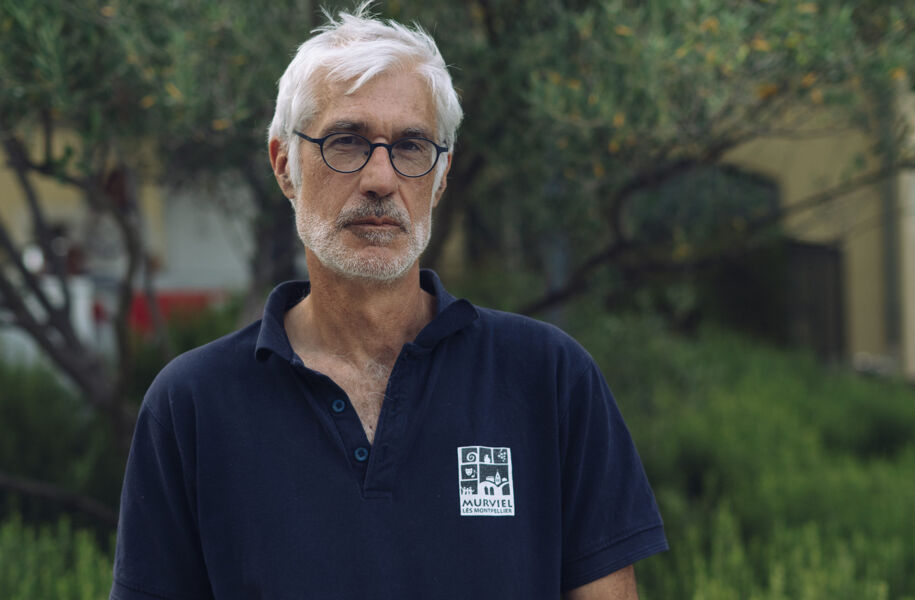 El vino (ya no) mejora con los años: «En Francia, los viticultores son muy conscientes del cambio climático»
