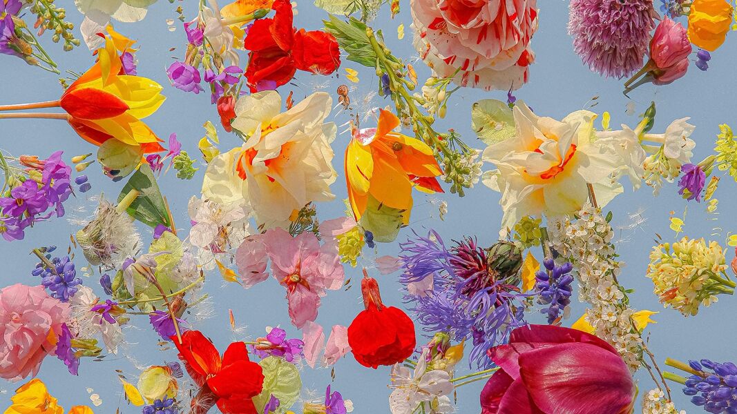 Flores, encuentros y ecopoemas