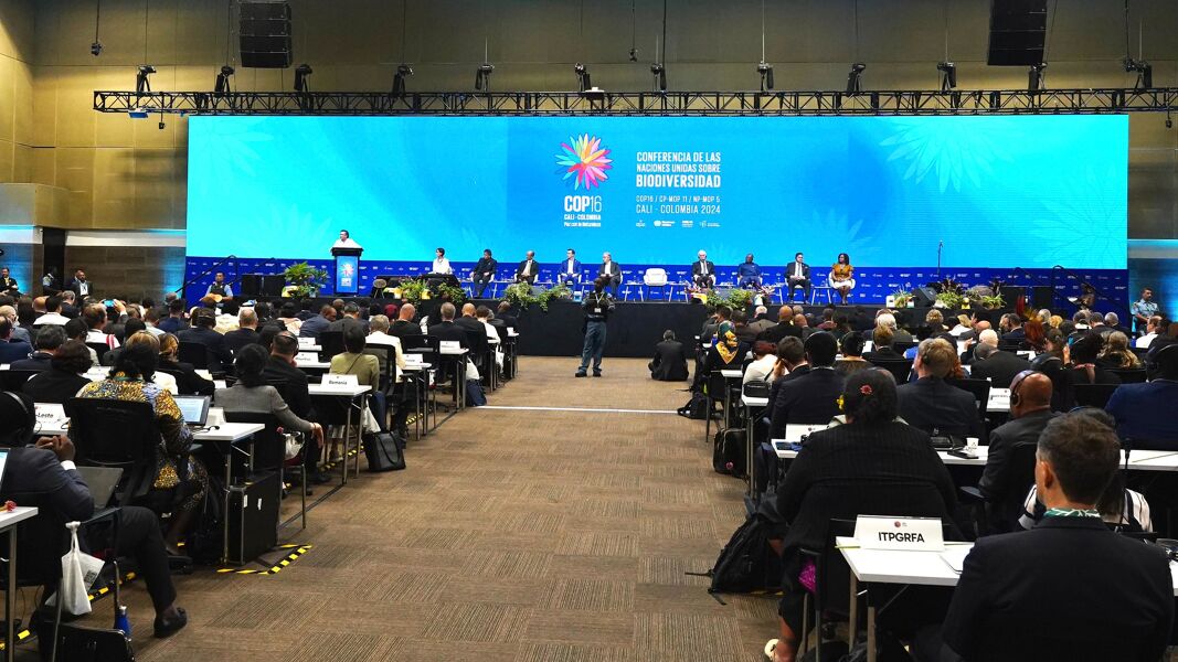 La COP16 de biodiversidad se retomará en febrero