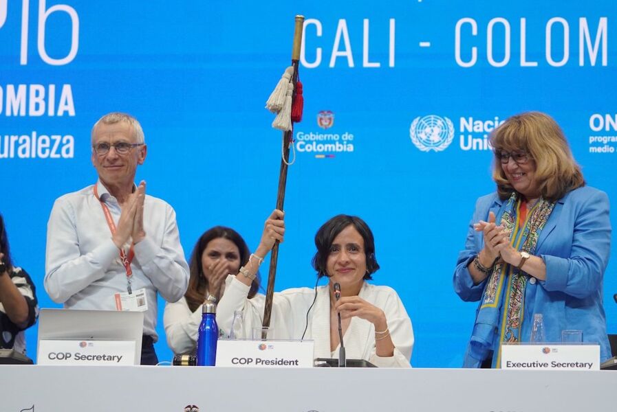 La COP16 se suspende por falta de quórum sin un acuerdo de financiación para la biodiversidad
