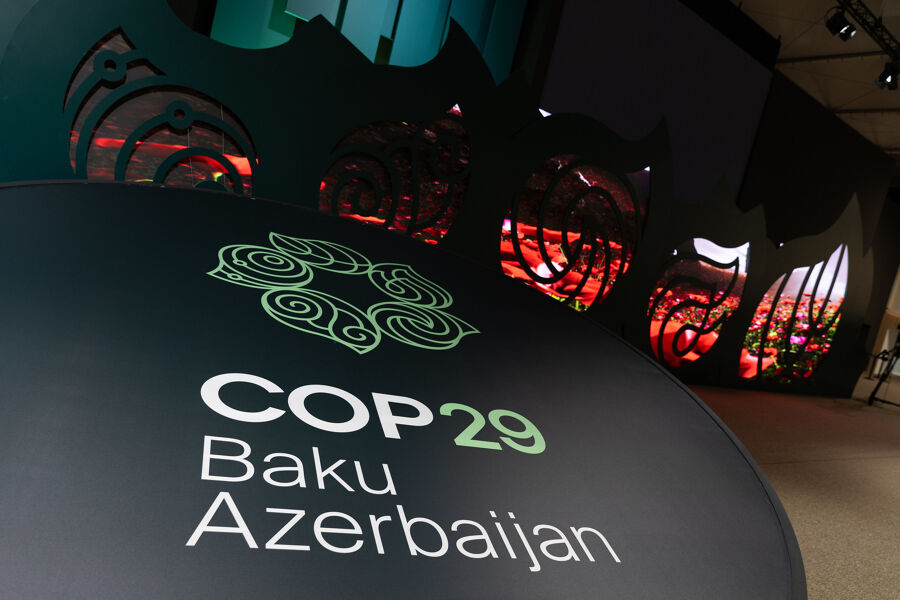 Diario de la COP29
