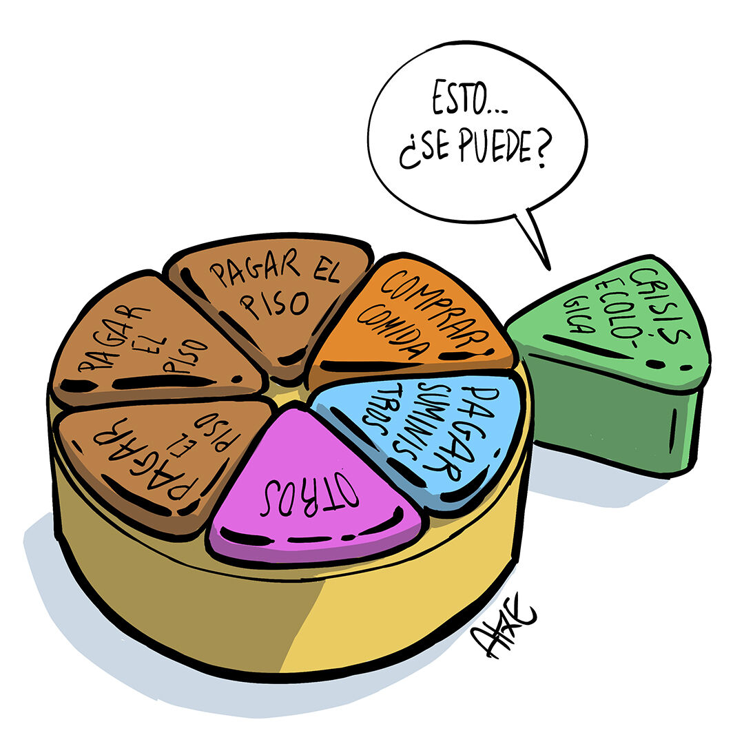 Quesito marrón