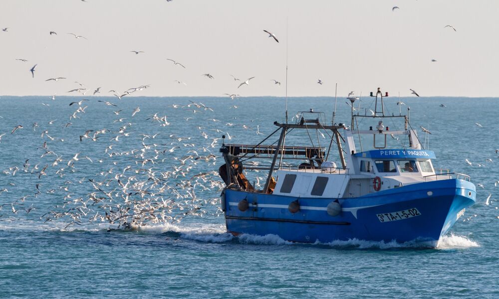 Nuevo pulso entre la protección ambiental y la pesca de arrastre