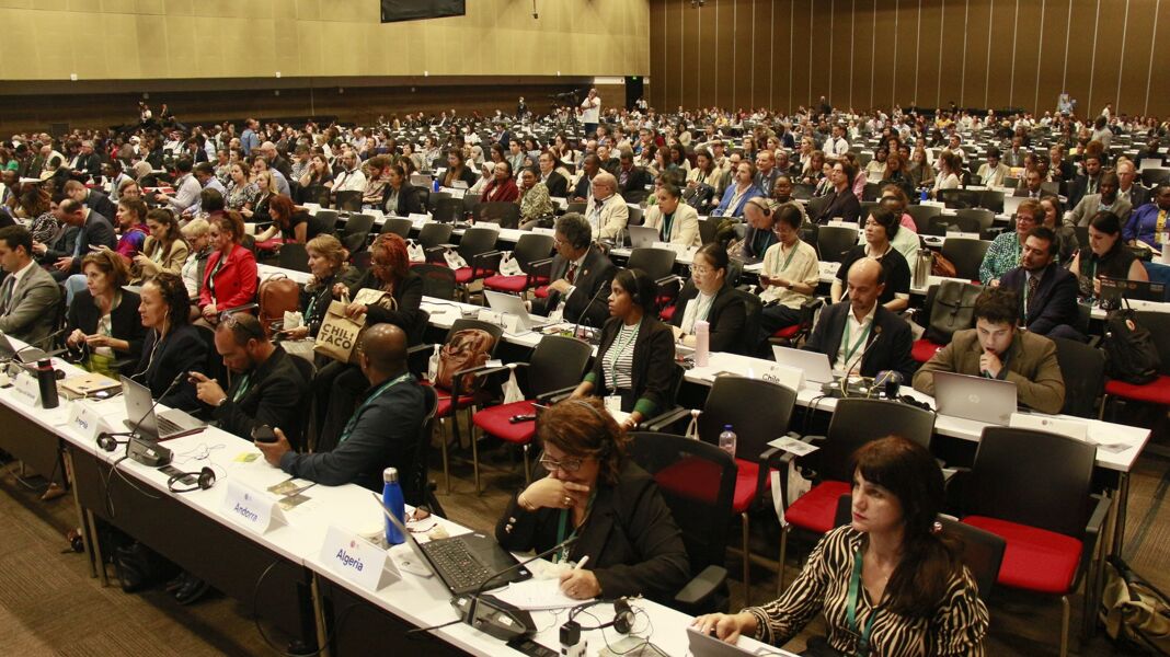 Se retoman las negociaciones inacabadas de la COP16 sobre biodiversidad