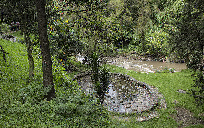 De la Constitución de Ecuador al río Atrato, espejos en los que mirarse para reconectar con la naturaleza (estés donde estés)
