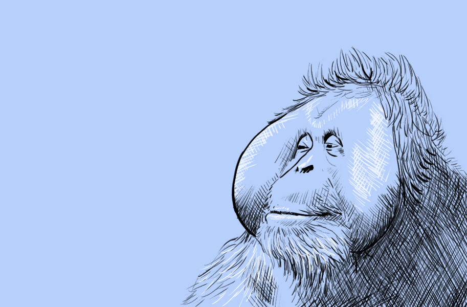 Dr. Zaius: los orangutanes son maestros de la medicina