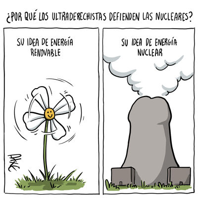 Vigor nuclear