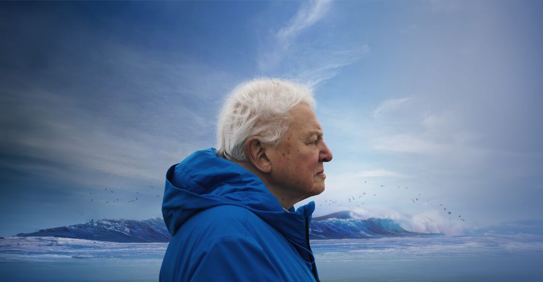 David Attenborough firma su testamento artístico y vital en ‘Ocean’: proteger la naturaleza es protegernos a nosotros mismos
