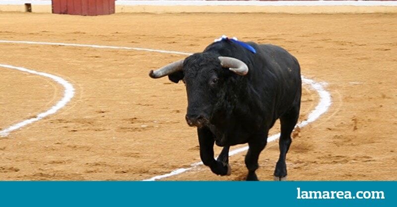 La tauromaquia baja la nota a España | lamarea.com