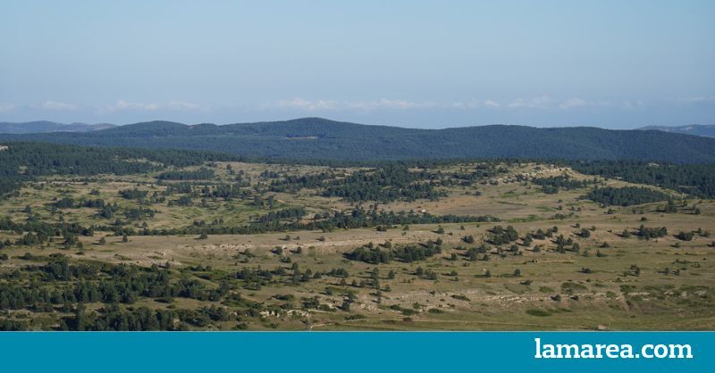 El Gobierno aprueba uno de los mayores parques eólicos de España pese a los informes contrarios